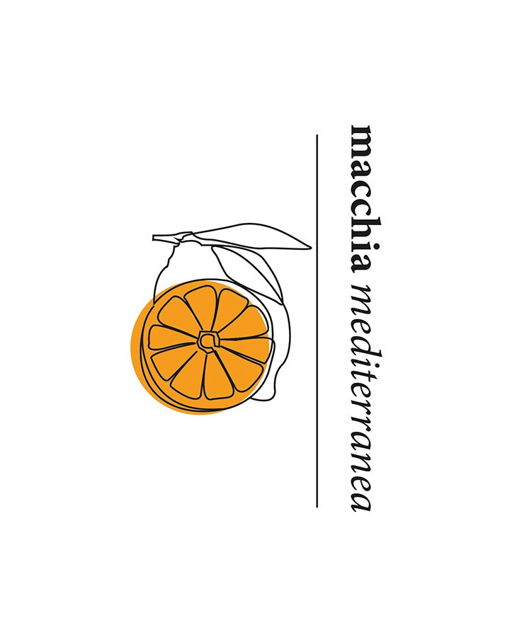 Profumo per la casa e ricarica per diffusori - Cèdre Sauvage 250ml - Panier des Sens